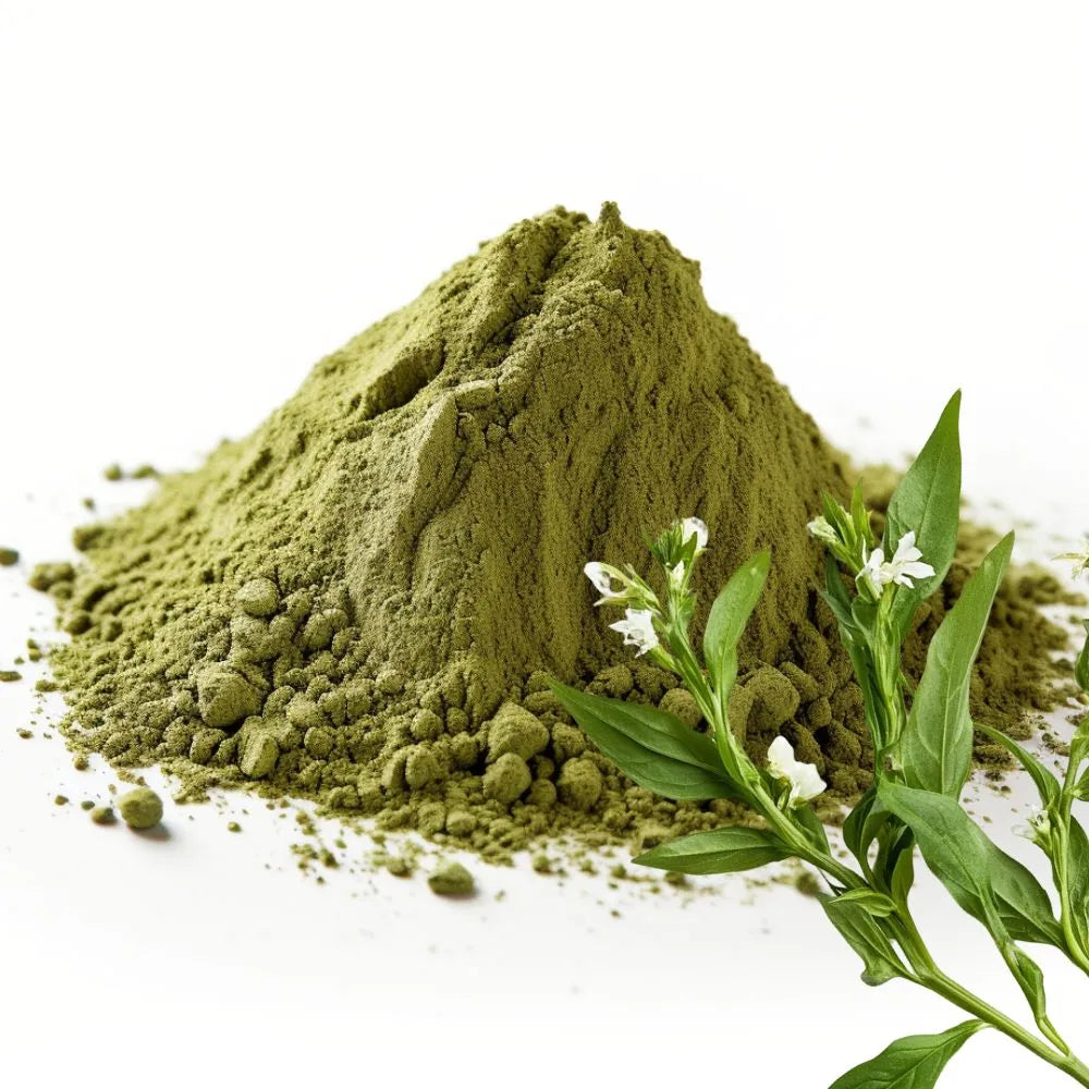 Andrographis Herb and Andrographis powder