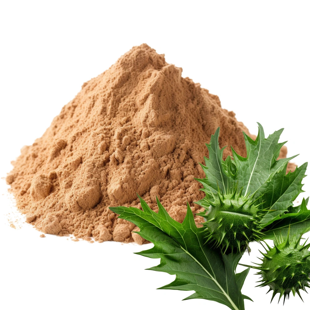 Milk Thistle and Milk Thistle Powder