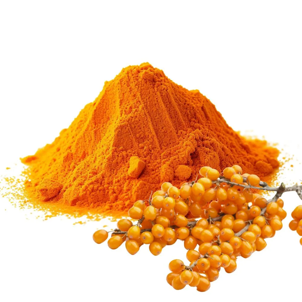 Vibrant orange sea buckthorn powder heaped in a pile, with fresh sea buckthorn berries on a branch, isolated on a white background for WowNutri.