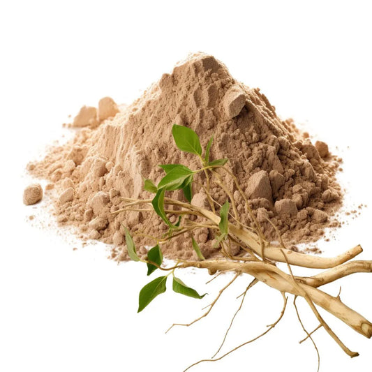 Astragalus root and astragalus powder