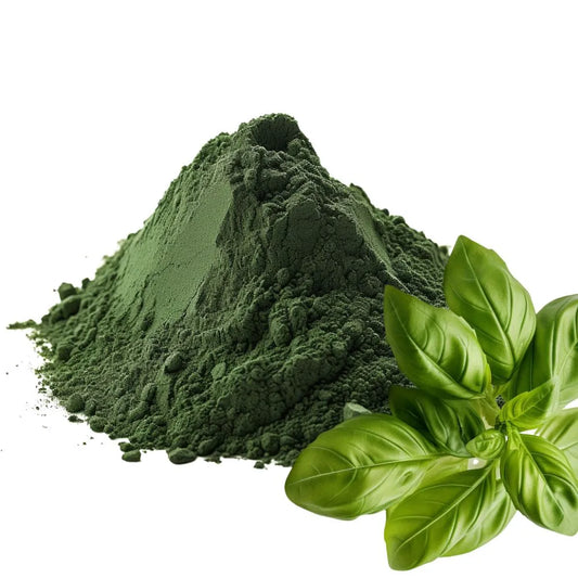 Basil Leaves and Basil Powder