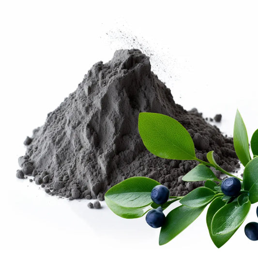 Bilberry Leaves and Bilberry Powder