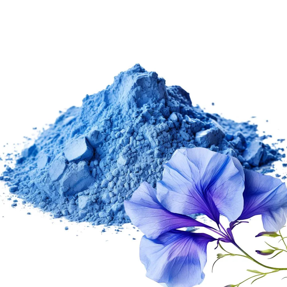 Vivid blue butterfly pea flower powder heaped in a pile, accompanied by delicate butterfly pea flowers with their distinct bright blue petals, isolated on a white background