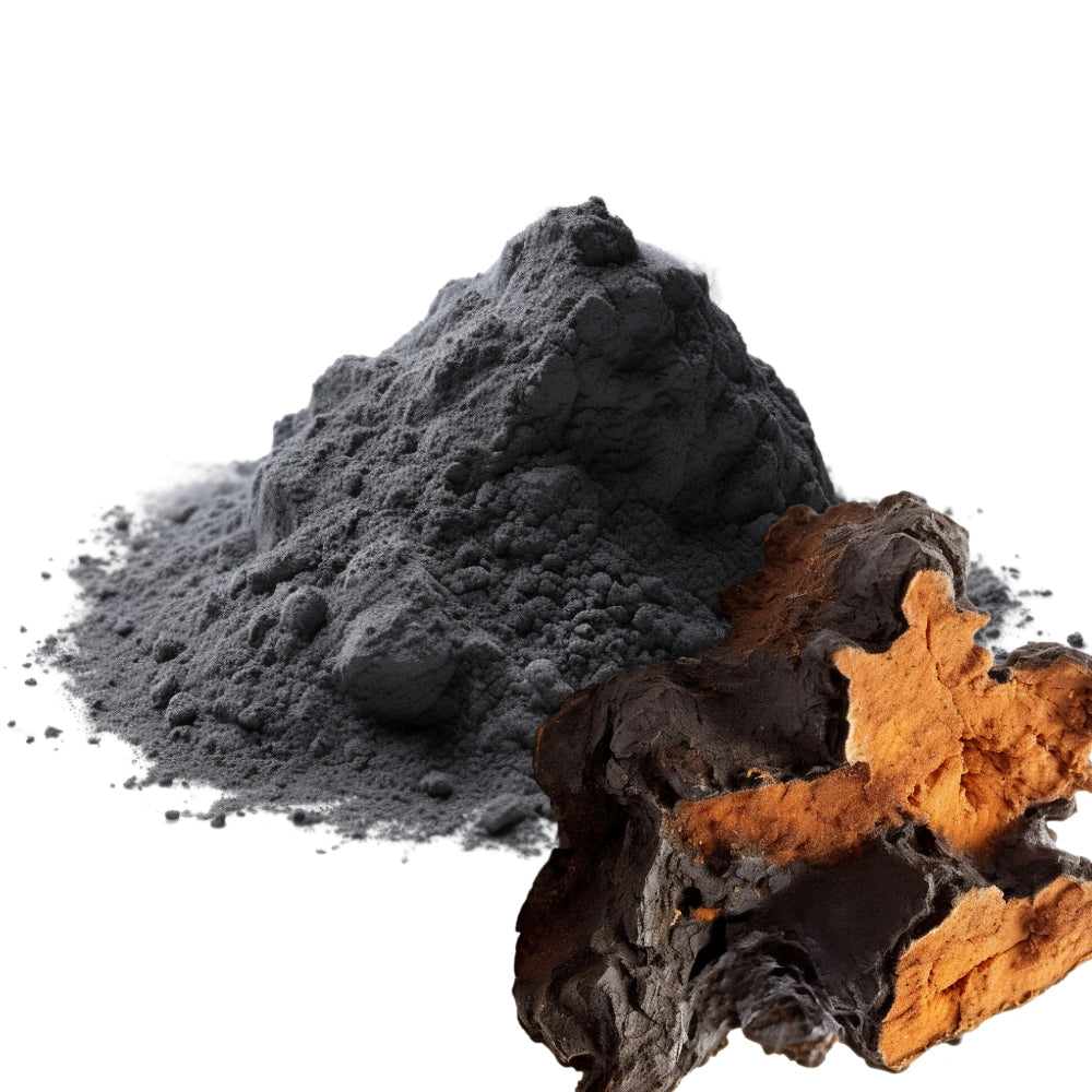 Chaga Mushroom and Chaga Powder