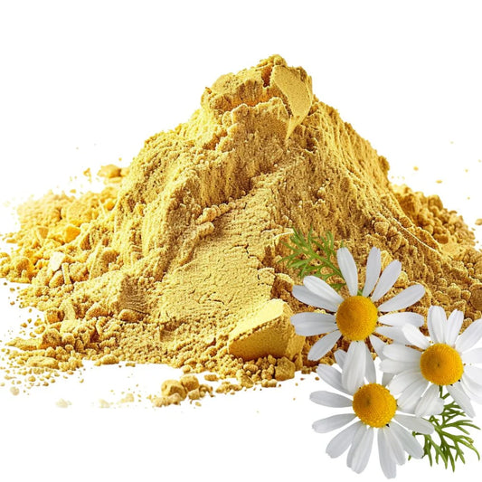 Heaped pile of Chamomile flower powder surrounded by fresh Chamomile flowers on a white background - WowNutri