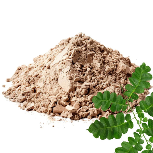 Heaped pile of Chanca Piedra powder with a green Chanca Piedra plant branch on a white background - WowNutri