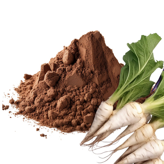 Chicory Root and Chicory Root Powder