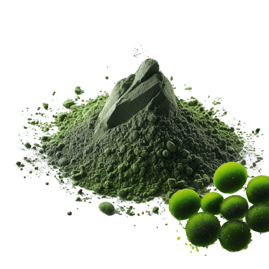 Chlorella | Chlorelle