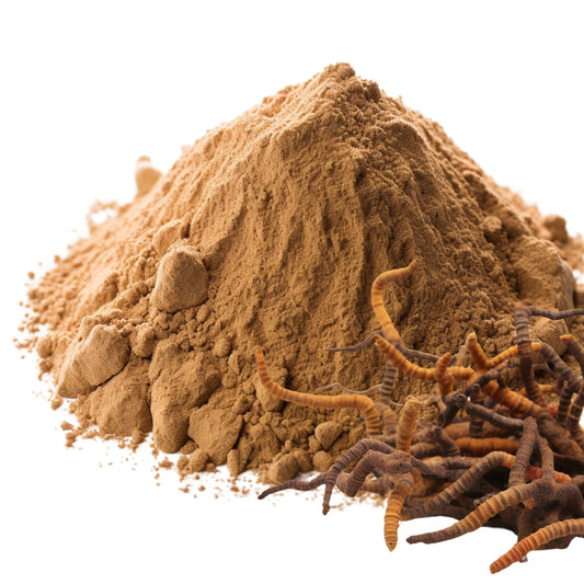 Cordyceps and Cordyceps Powder