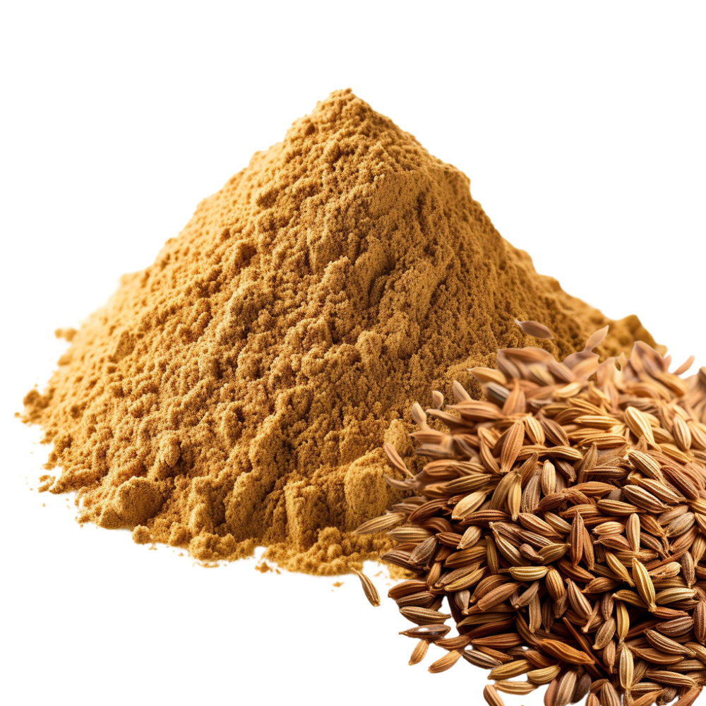 Cumin Seed and Cumin Seed Powder