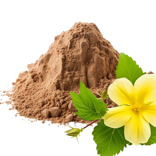 Damiana Leaves and Damiana Leaves Powder