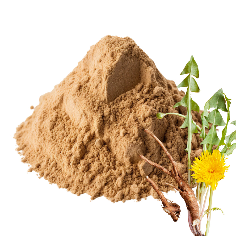 Dandelion Root and Dandelion Root Powder