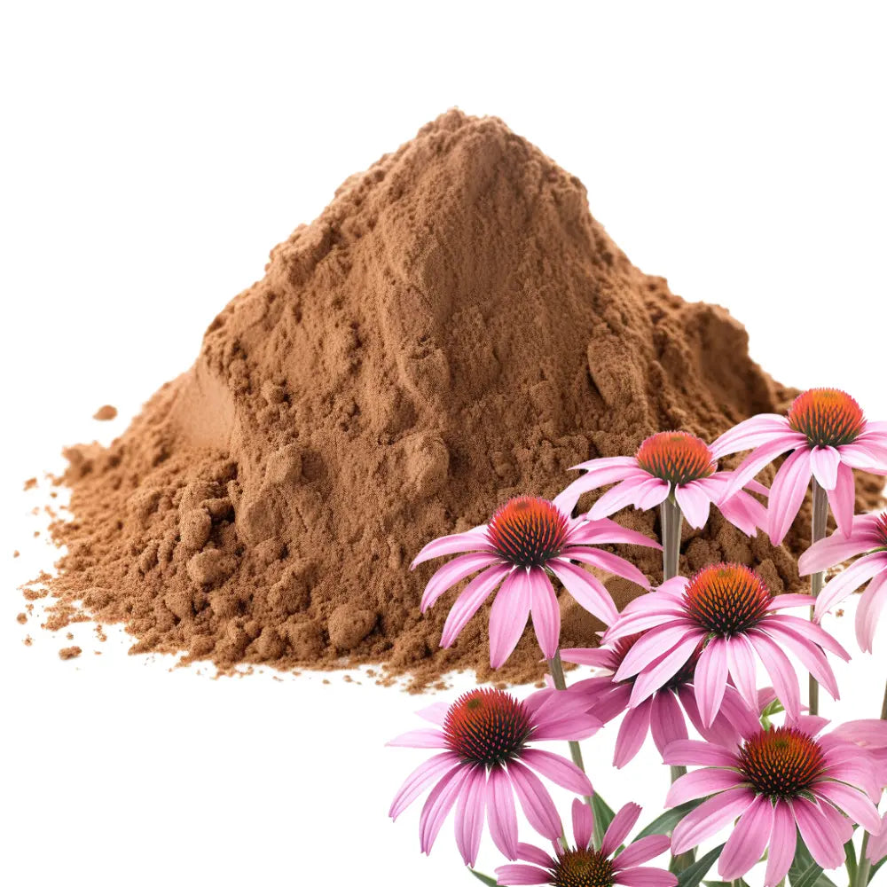 Echinacea Purpurea and Echinacea Purpurea Powder