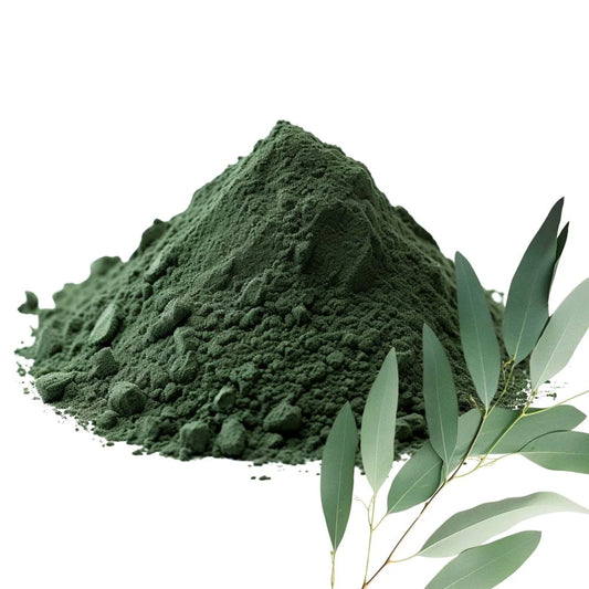 Heaped pile of Eucalyptus leaf powder with fresh green Eucalyptus leaves on a white background - WowNutri