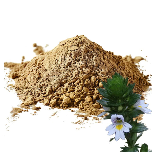 Heaped pile of Eyebright herb powder with a fresh Eyebright flower on a white background - WowNutri