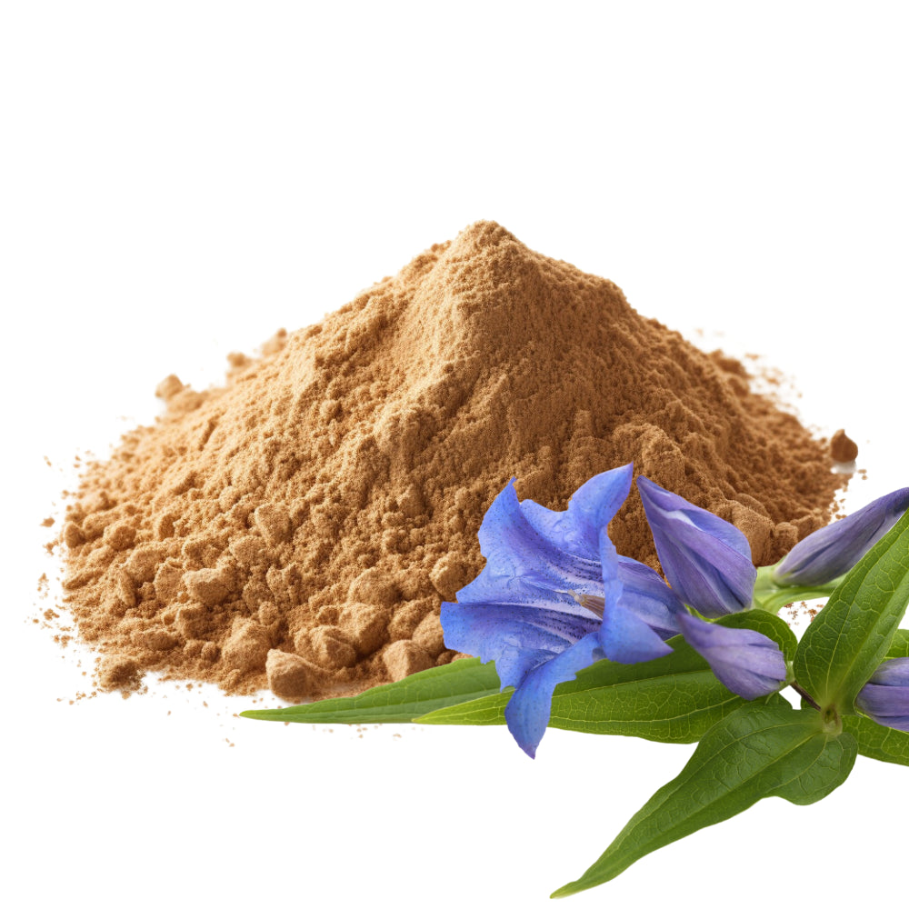 Gentian Root and Gentian Root Powder