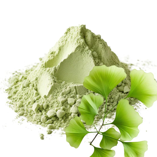 Heaped pile of fine Ginkgo Biloba leaf powder with vibrant green Ginkgo leaves on a white background - WowNutri