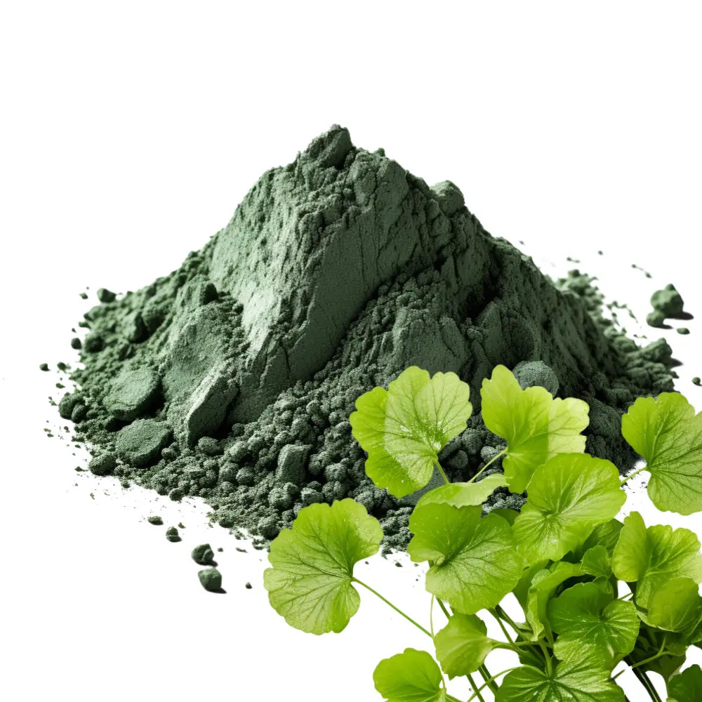 Gotu Kola and Gotu Kola Powder