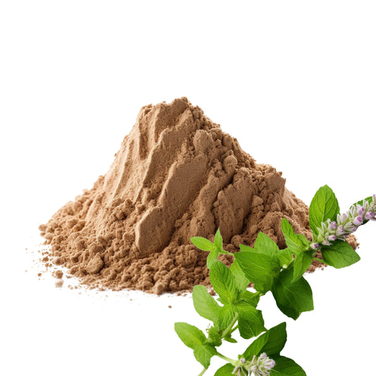 Holy Basil and Holy Basil Powder