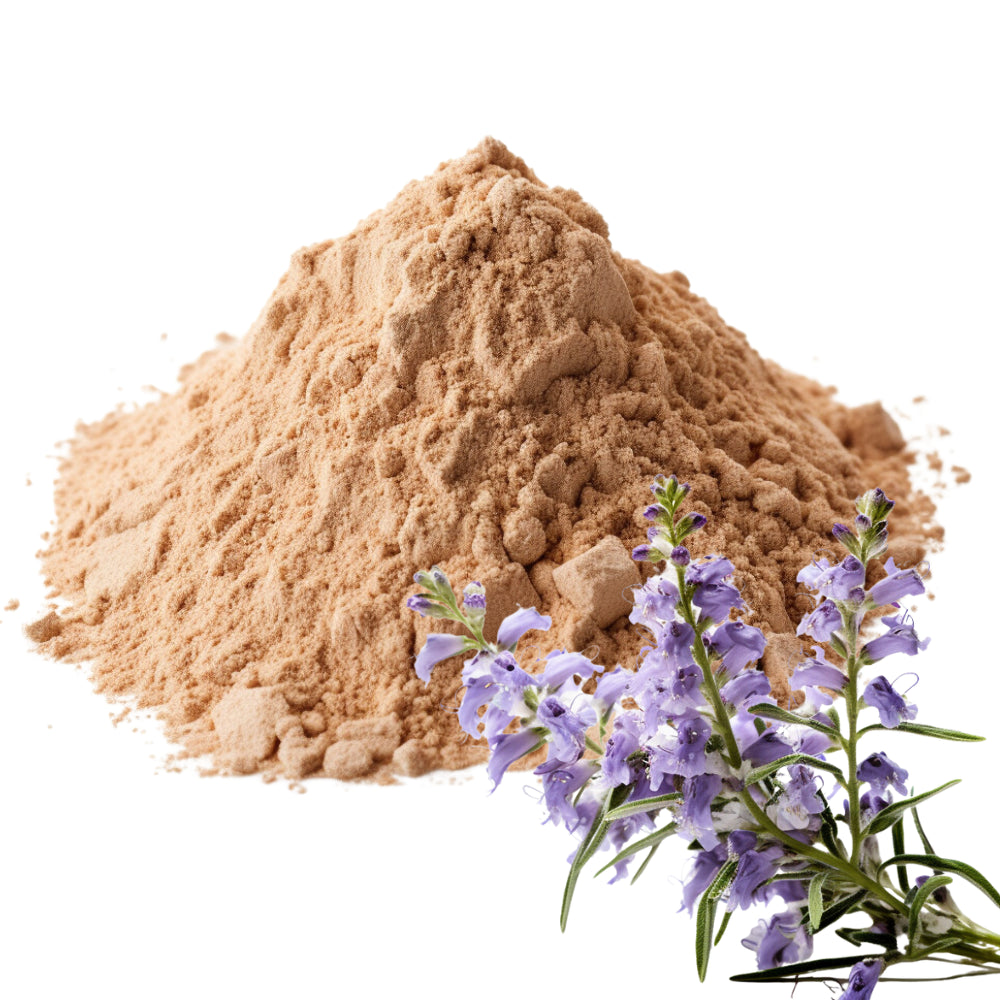 Hyssop and Hyssop Powder