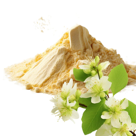 Linden Flower and Linden Flower Powder