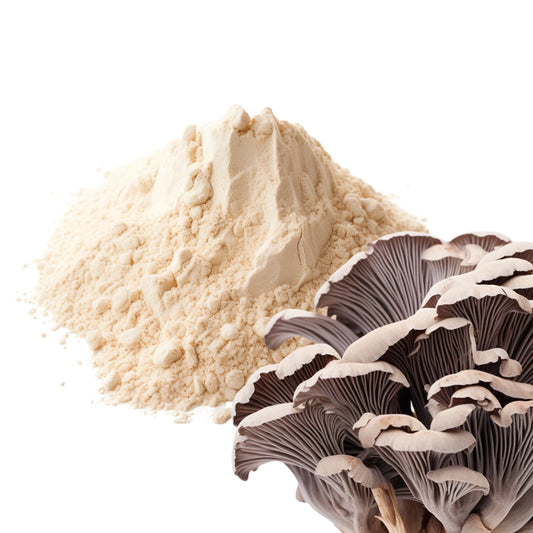 Maitake Mushroom and Maitake Powder