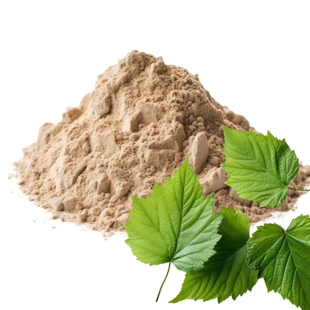 Mulberry Leaves and Mulberry Leaves Powder