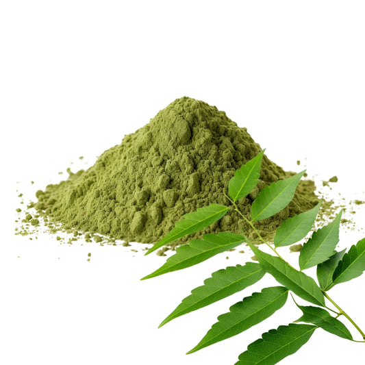 Neem Leaves and Neem Leaves Powder