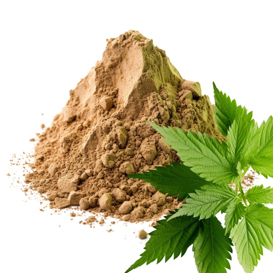 Nettle Leaves and Nettle Leaves Powder