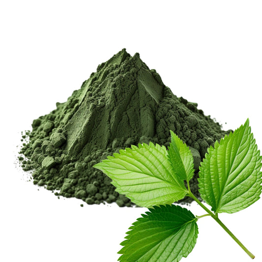 Raspberry Leaves and Raspberry Leaves Powder