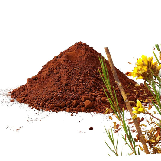 A mound of Rooibos tea powder accompanied by fresh Rooibos stems and yellow flowers against a white background, showcasing the rich, earthy tones of the tea - WowNutri