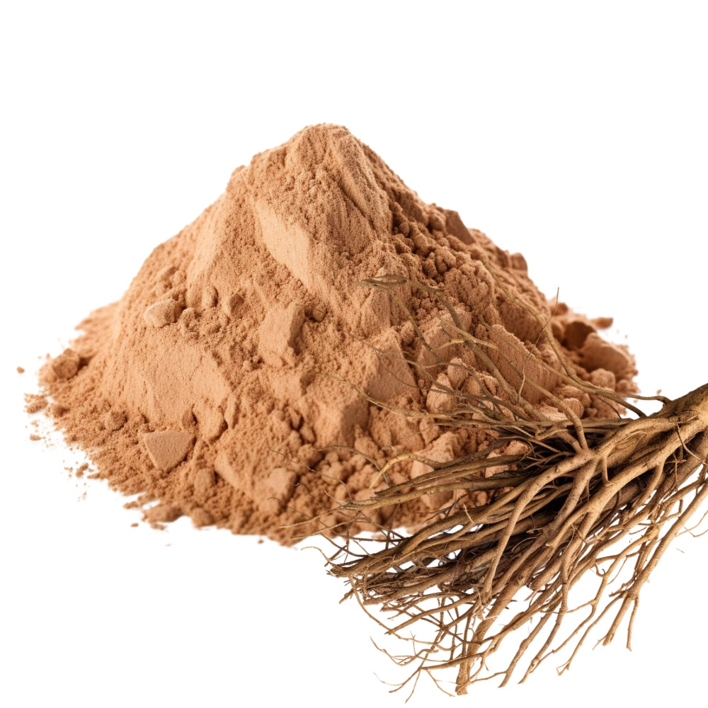 Sarsaparilla Root and Sarsaparilla Root Powder