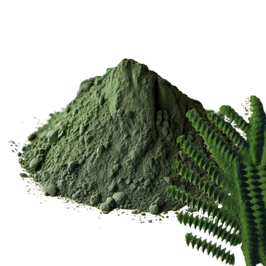 Heaped pile of vibrant green Spirulina powder with fresh fern leaves on a white background - WowNutri