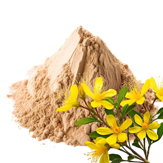 Heaped pile of St. John's Wort powder with fresh yellow flowers and green leaves on a white background - WowNutri