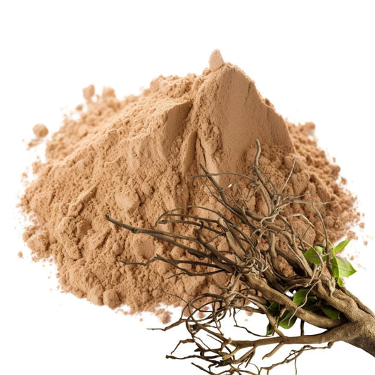 Heaped pile of Valerian root powder with dried tangled Valerian roots and leaves on a white background - WowNutri