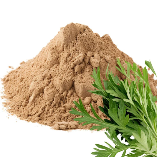 Heaped pile of Wormwood powder next to fresh green Wormwood leaves on a white background - WowNutri